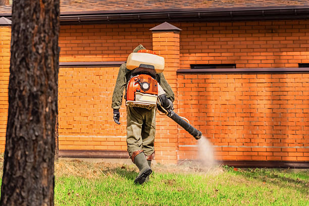 Trusted Rodent Control service in Alondra Park, CA - Nex Pest Control
